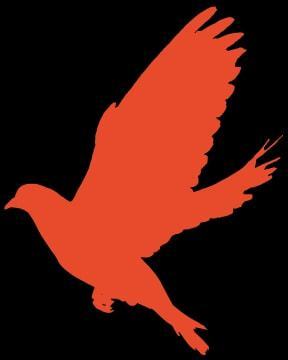 东阳重点监测企业复工率达93%，弹性织带行业展现强劲韧性